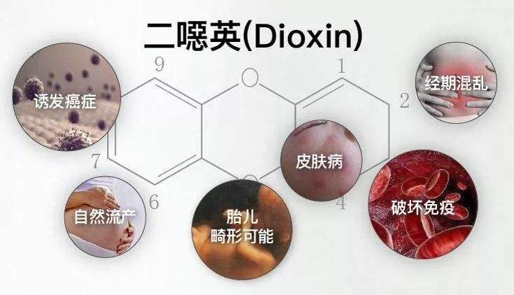 二惡英檢測 二惡英檢測