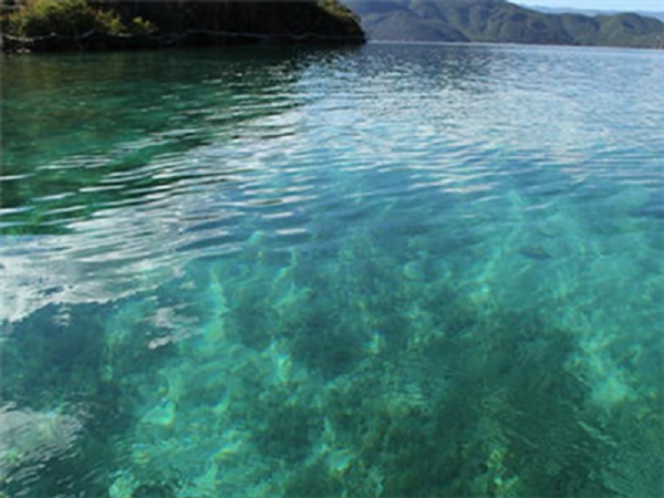 深圳污水檢測 深圳污水檢測