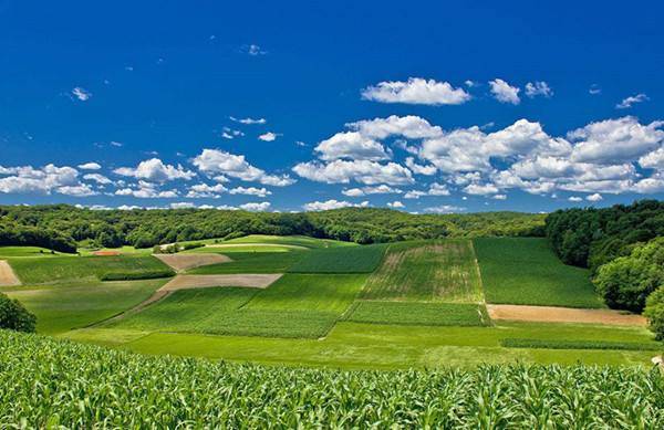 深圳噪音檢測 深圳噪音檢測