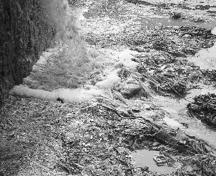 水質(zhì)檢測機構(gòu) 水質(zhì)檢測機構(gòu)