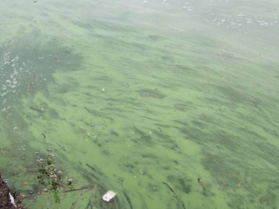 深圳水質(zhì)檢測機(jī)構(gòu) 深圳水質(zhì)檢測機(jī)構(gòu)