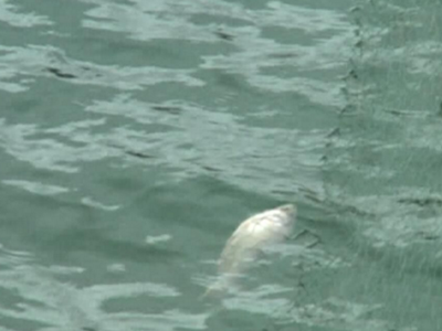 深圳水質(zhì)檢測(cè) 深圳水質(zhì)檢測(cè)