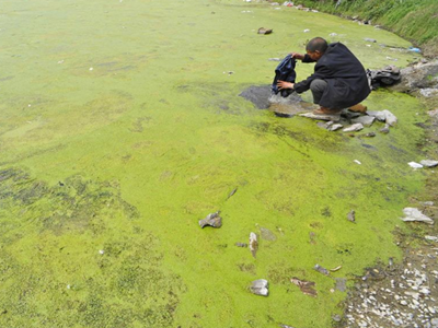 深圳水質(zhì)檢測 深圳水質(zhì)檢測