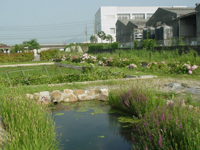 第三方水質(zhì)檢測公司 第三方水質(zhì)檢測公司