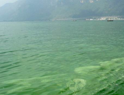 深圳水質(zhì)檢測機(jī)構(gòu) 深圳水質(zhì)檢測機(jī)構(gòu)