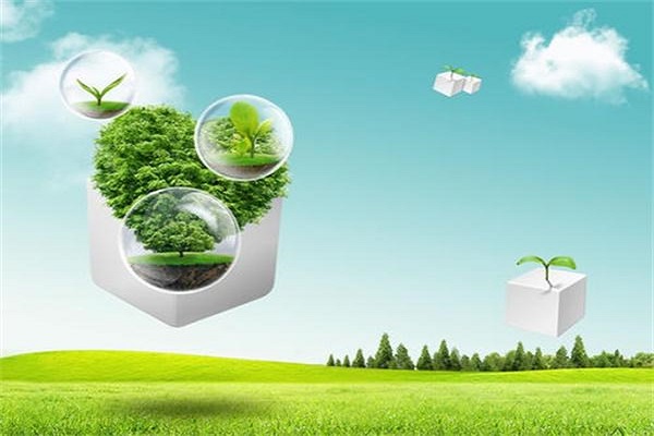 環(huán)境影響評(píng)價(jià) 環(huán)境影響評(píng)價(jià)