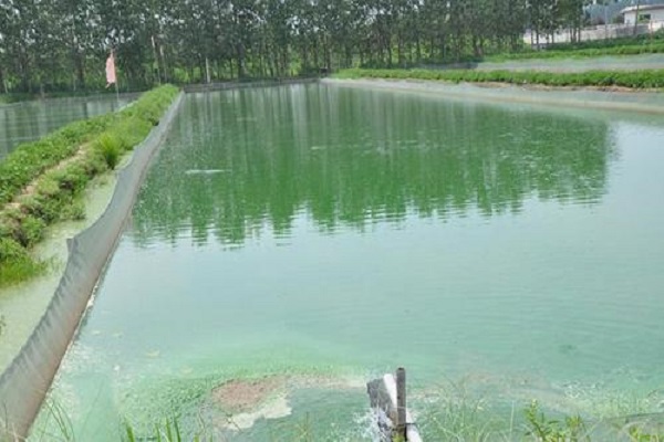 漁業(yè)養(yǎng)殖水質(zhì)檢測(cè) 漁業(yè)養(yǎng)殖水質(zhì)檢測(cè)